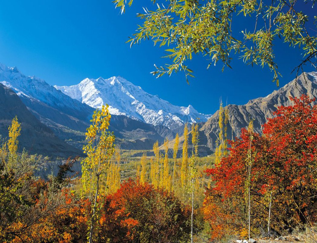 Pakistan Tours
